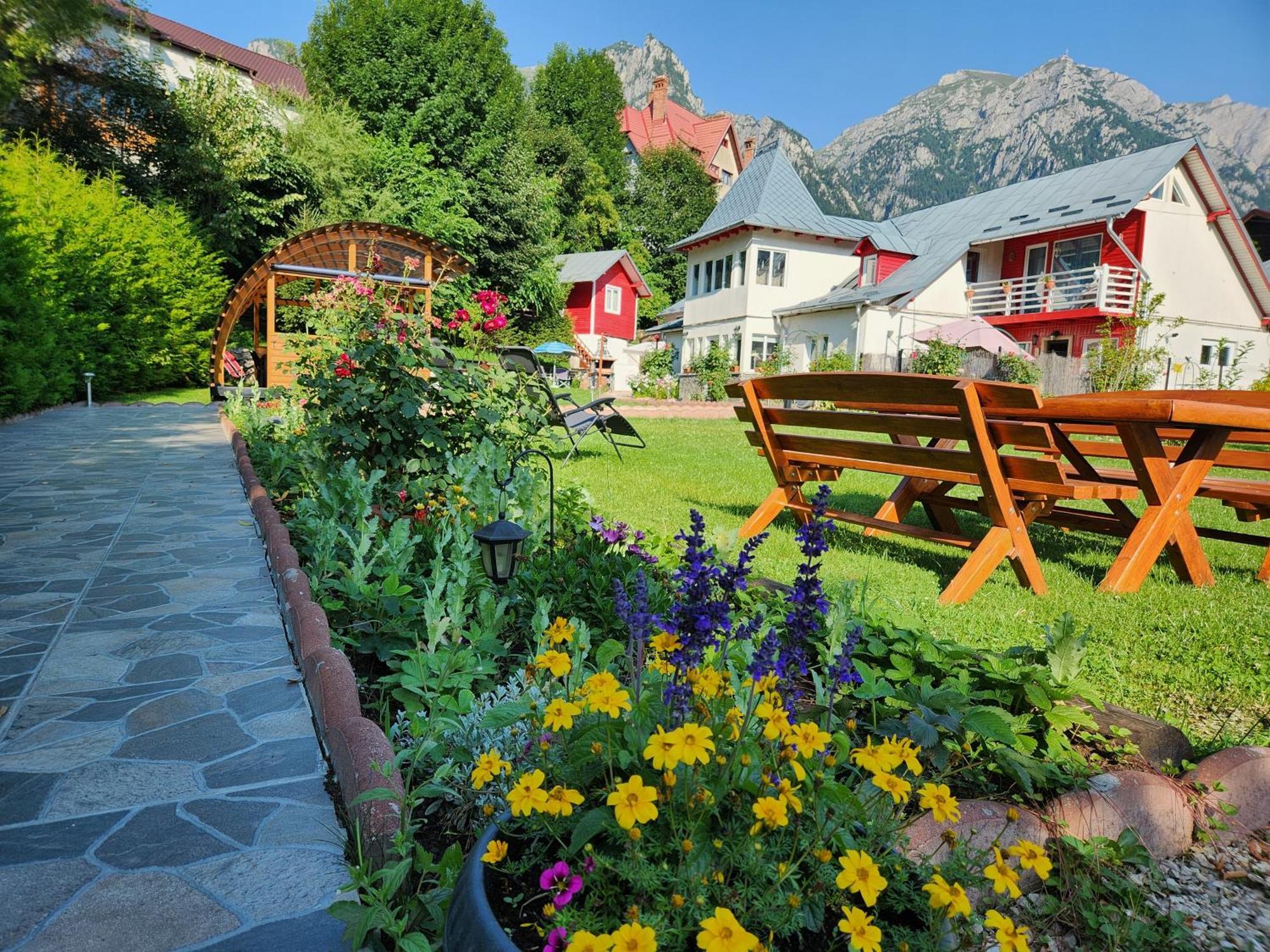 Casa Turta Dulce Hotel Buşteni Екстериор снимка