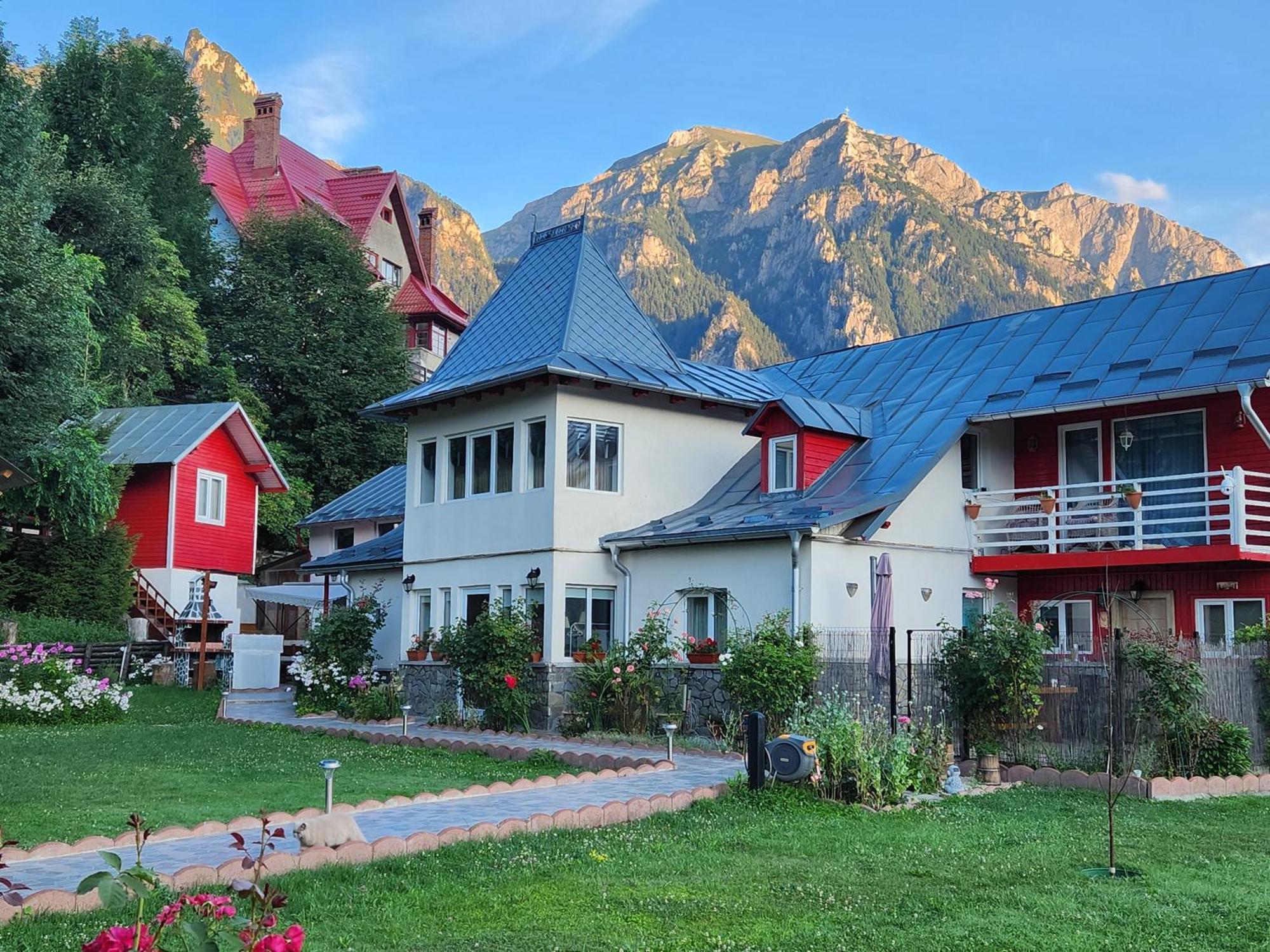 Casa Turta Dulce Hotel Buşteni Екстериор снимка
